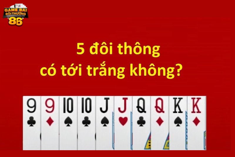 5 đôi thông có tới trắng không