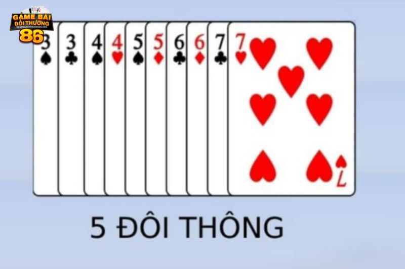 5 đôi thông có tới trắng không