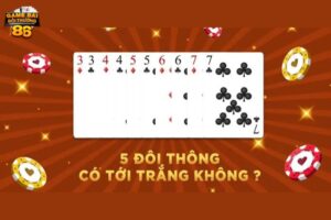 5 đôi thông có tới trắng không