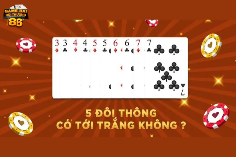 5 đôi thông có tới trắng không