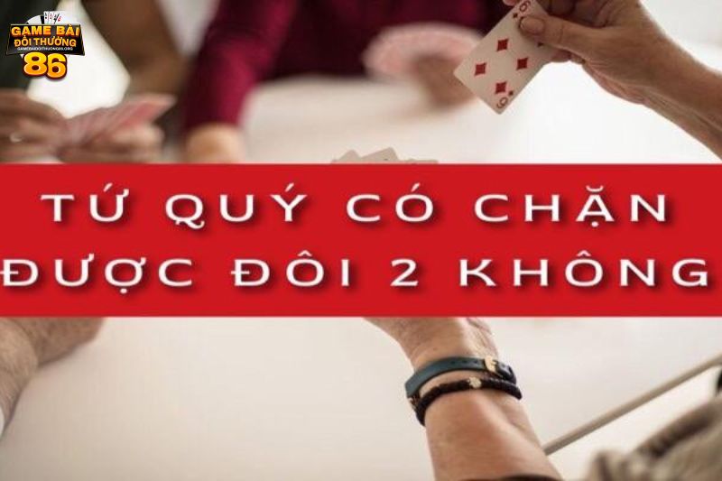 tứ quý có chặt được đôi heo không
