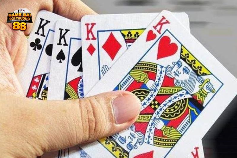 tứ quý có chặt được đôi heo không