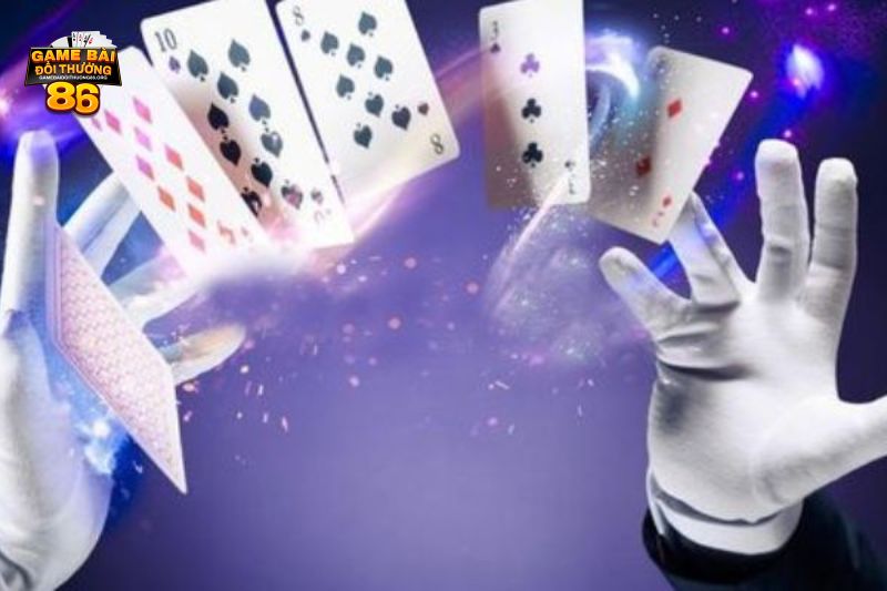 tứ quý có chặt được đôi heo không